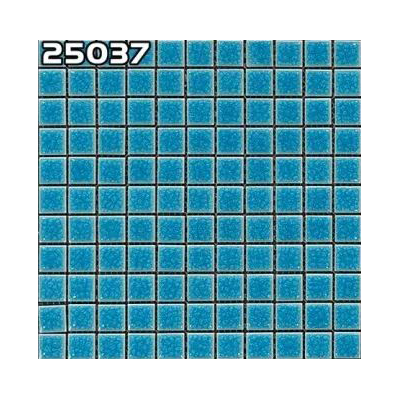 25037